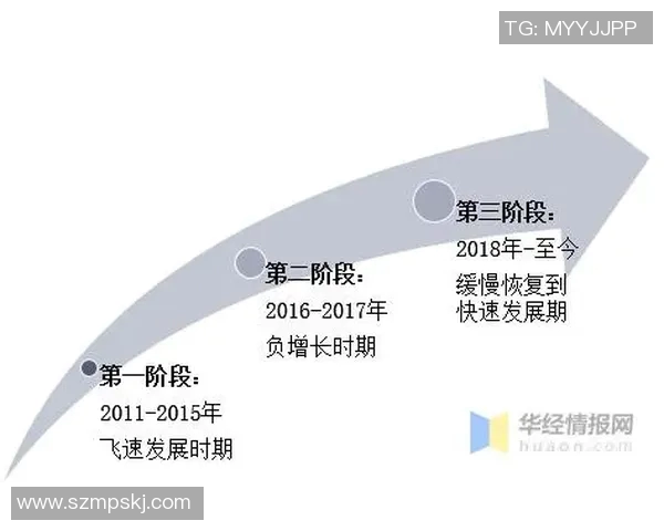 下一位足球明星的崛起之路与未来发展趋势分析