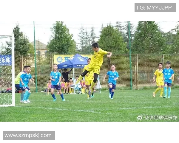 足球明星的荣耀与责任：从绿茵场到军营的双重人生探索